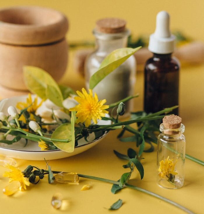 cropped pexels photo 7526013.jpeg